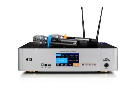 Himedia Home H12 siêu phẩm Amply 3 trong 1